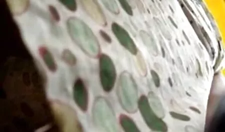 Um pau grande libras de videosgratisdesexo uma jovem loira dura na boca e buceta cachorrinho na cozinha