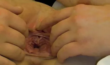 Vídeo caseiro porno x videos gratis de uma jovem morena gozando orgasmo enquanto se masturba