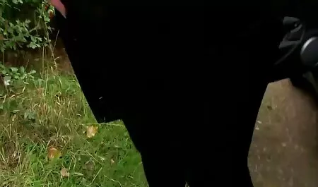 Duas lésbicas batendo encantador com vídeos pornô caseiro grátis um decente orgasmo